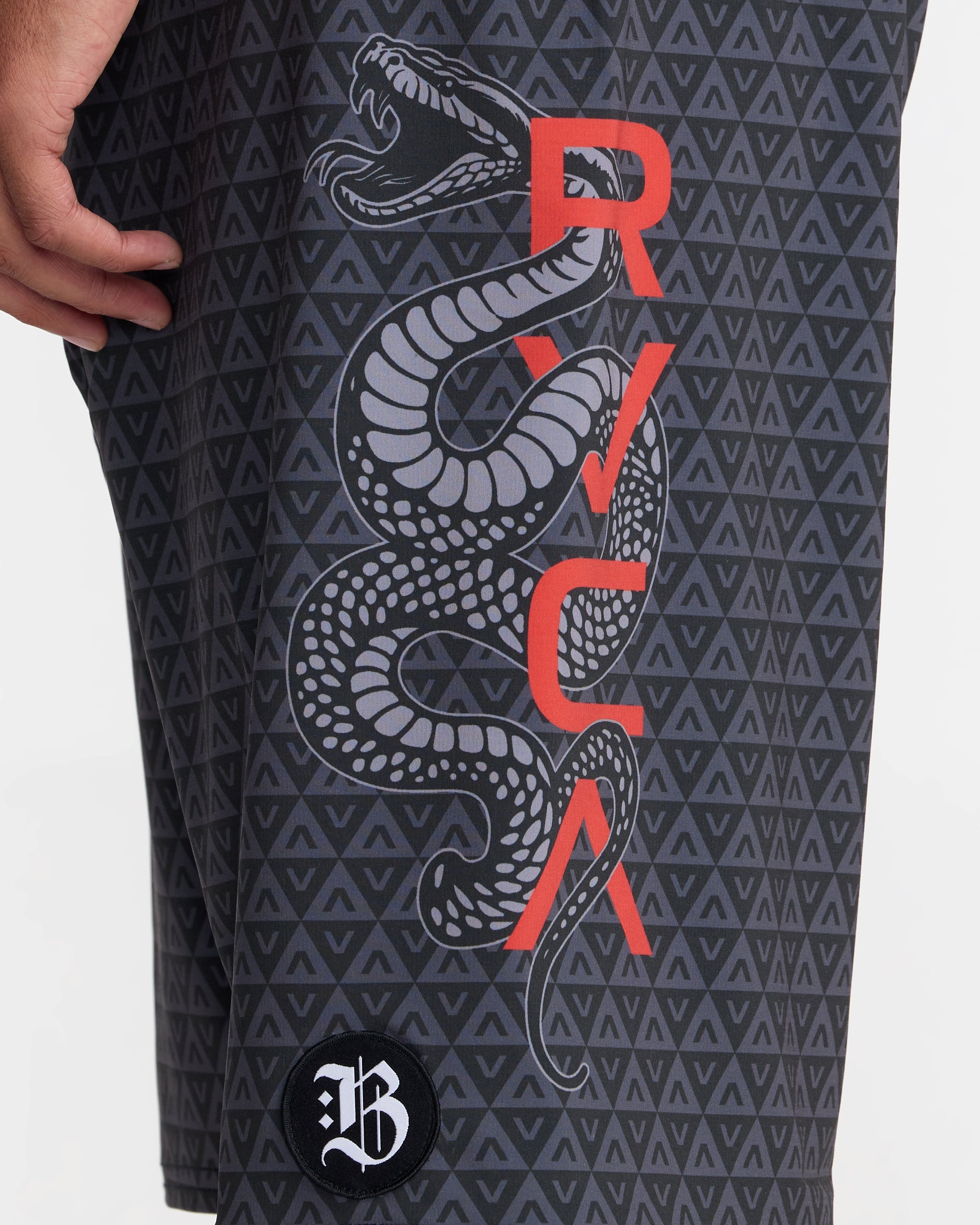Barron Snake 21 - Image 9