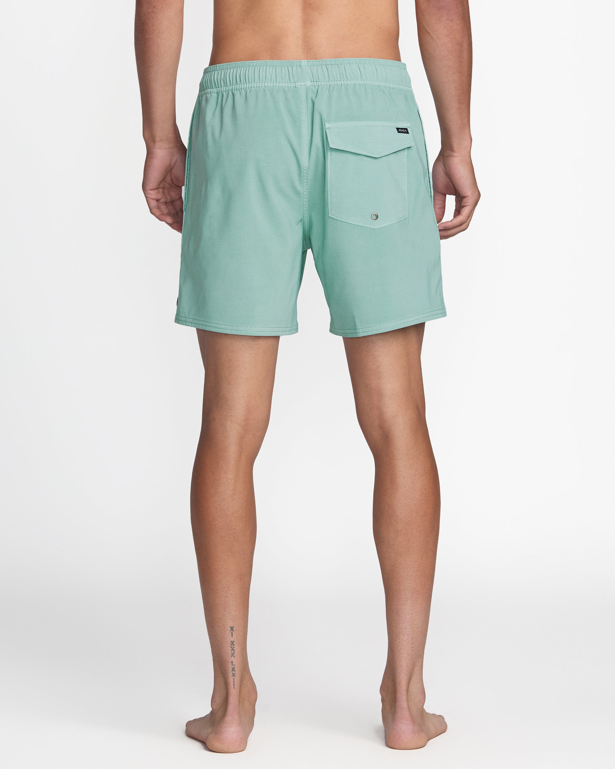 VA Pigment Elastic Short Trunk 16 - Image 2