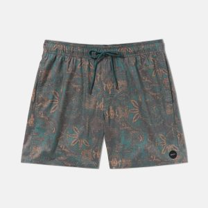 Barnes Elastic Short Trunk 17